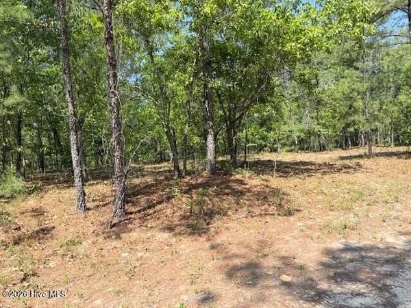 1028 Sorrell Drive , Vass, NC 28394