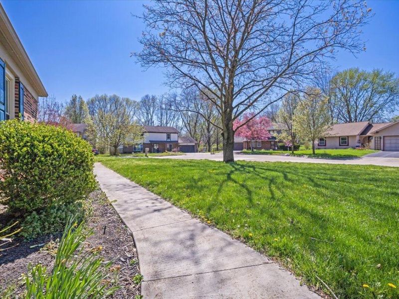 3252 Noreen Drive, Columbus, OH 43221 Photo 4