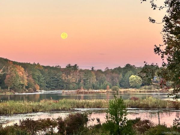 85 Lake Shore Drive W, Rock Hill, NY 12775