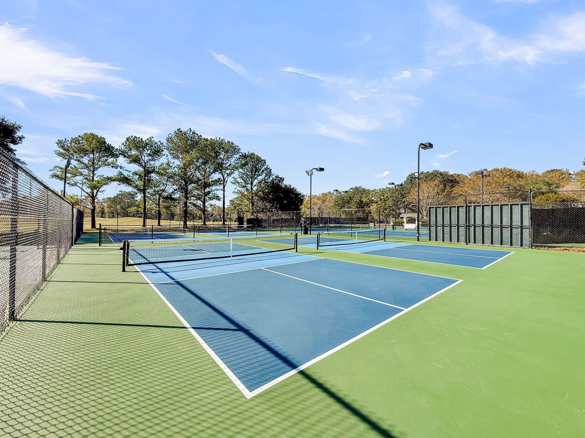 4408 Club Course Drive Photo 75