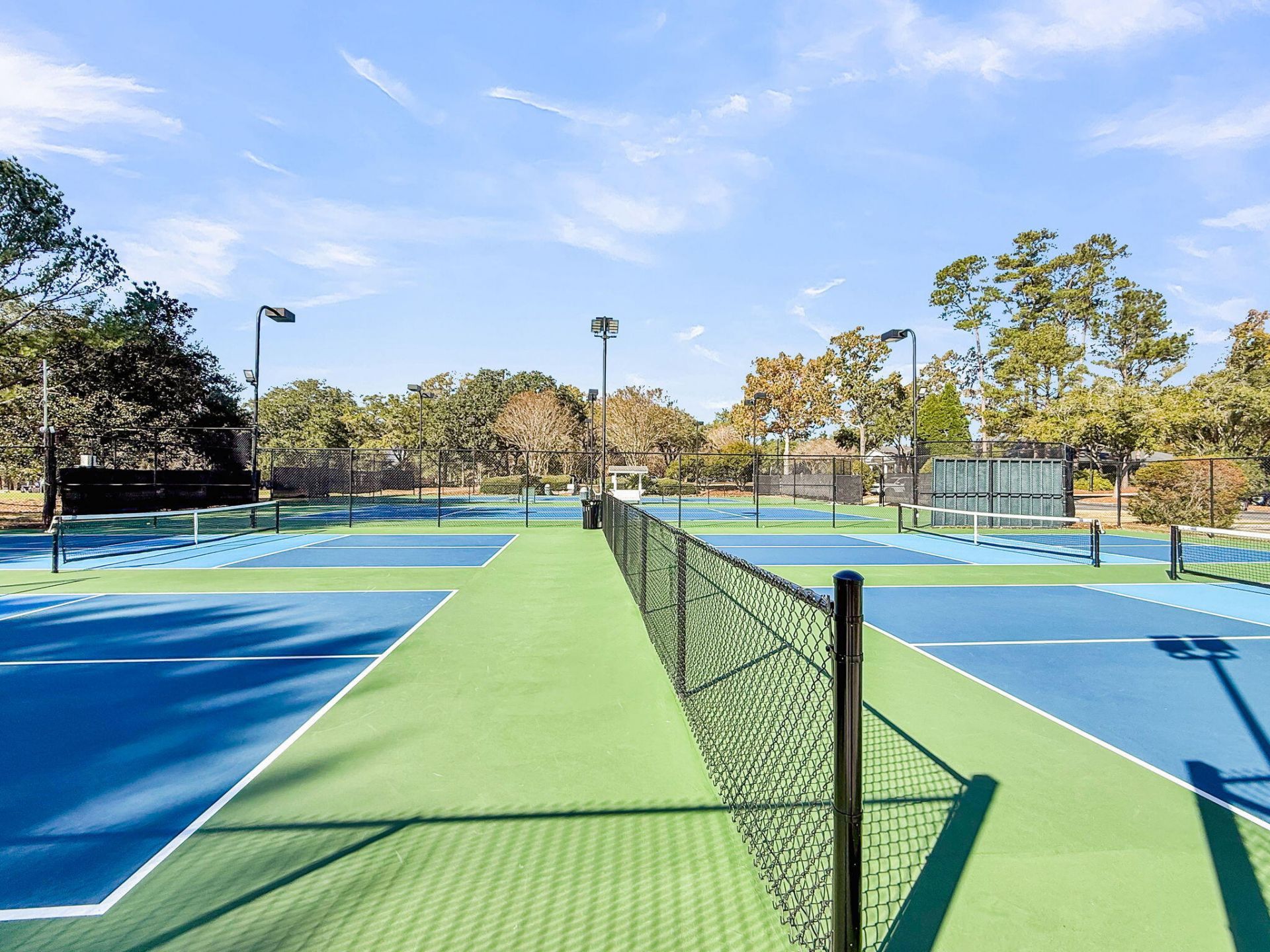 4408 Club Course Drive Photo 77