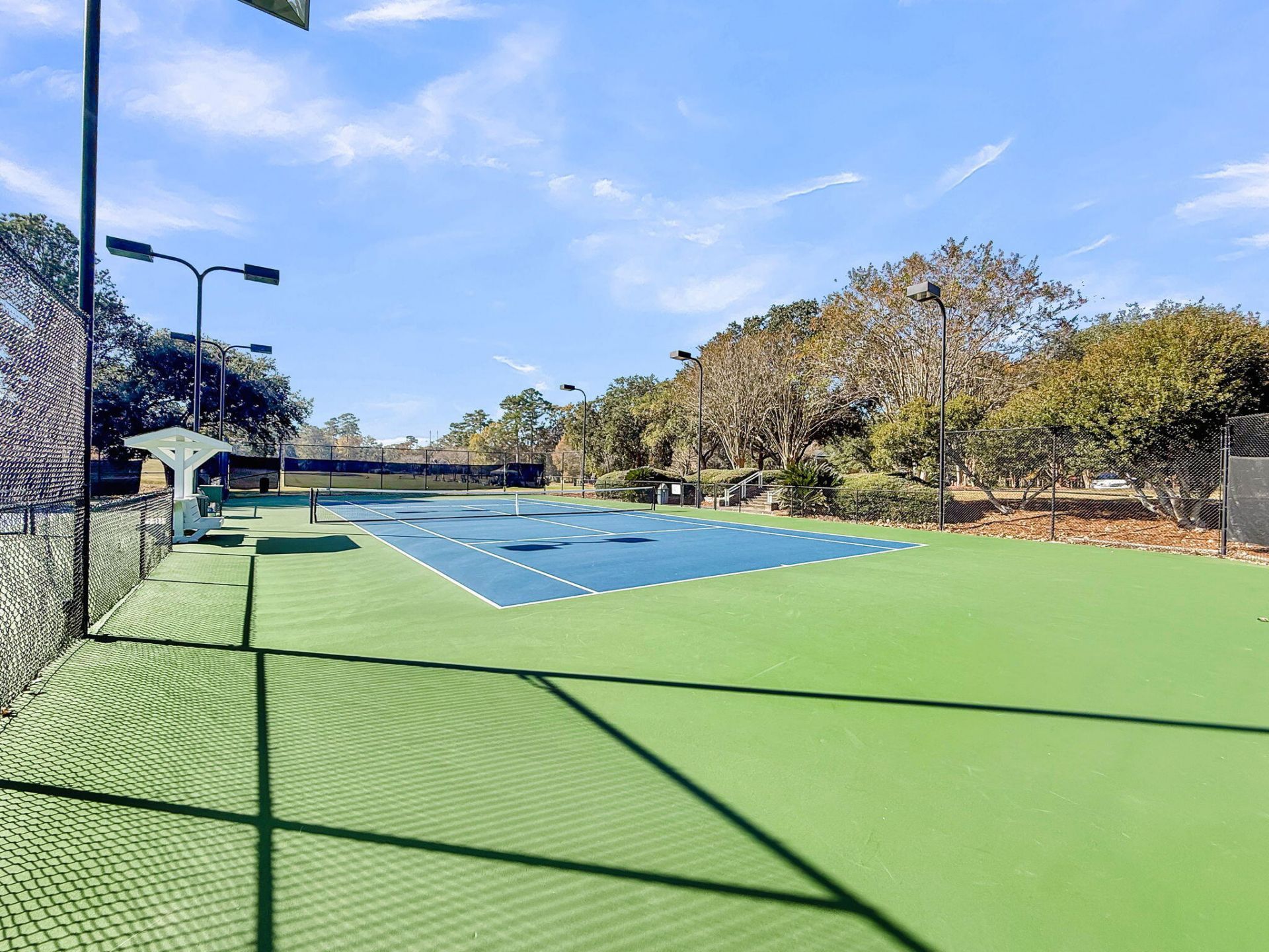 4408 Club Course Drive Photo 79