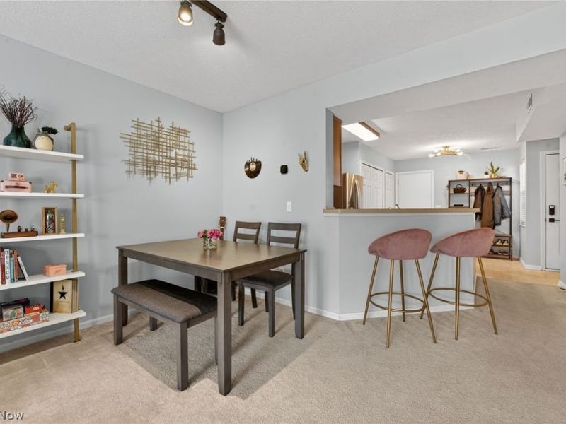 6721 Woodruff Court, Cleveland, OH 44130 Photo 18