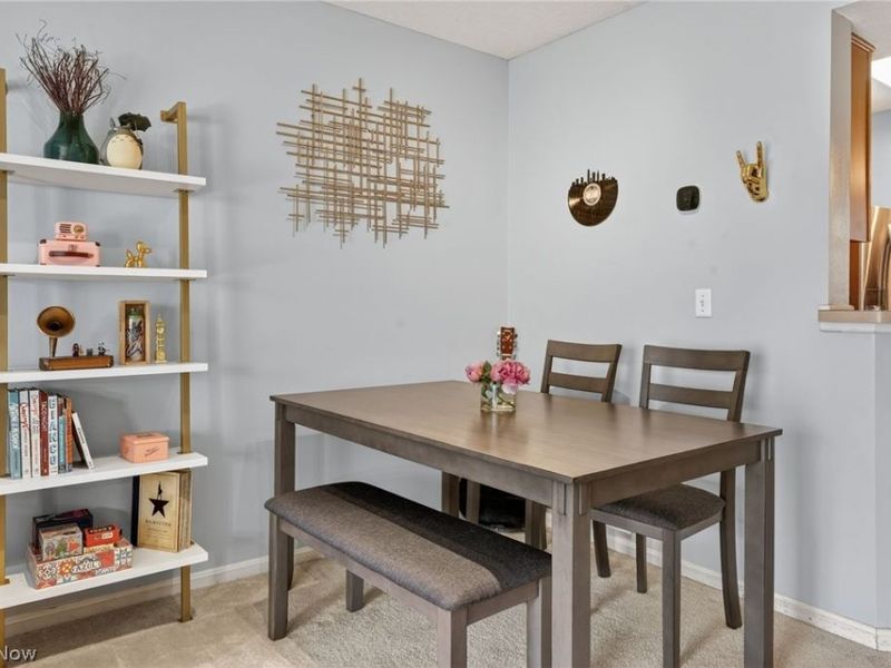 6721 Woodruff Court, Cleveland, OH 44130 Photo 19