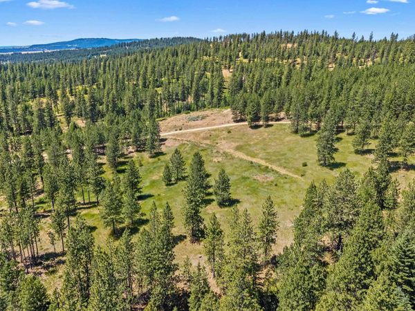 NKA E Belmont Rd, Mica, WA 99023