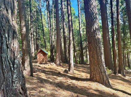 68 Por Lot N Sd Main St, Sierra City, CA 96125 Photo