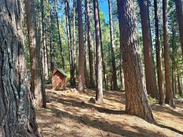 68 POR LOT N SD Main St, Sierra City, CA 96125