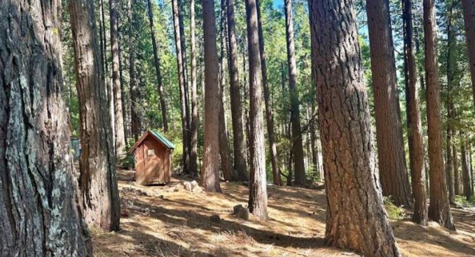 68 Por Lot N Sd Main St, Sierra City, CA 96125 Photo