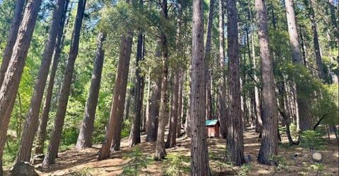 68 Por Lot N Sd Main St, Sierra City, CA 96125 Photo