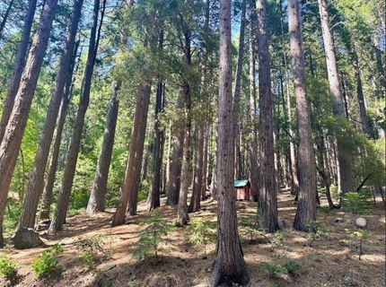 68 Por Lot N Sd Main St, Sierra City, CA 96125 Photo