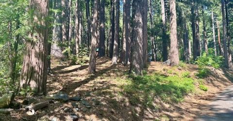 68 Por Lot N Sd Main St, Sierra City, CA 96125 Photo