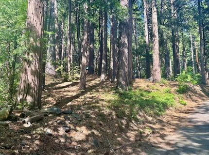 68 Por Lot N Sd Main St, Sierra City, CA 96125 Photo