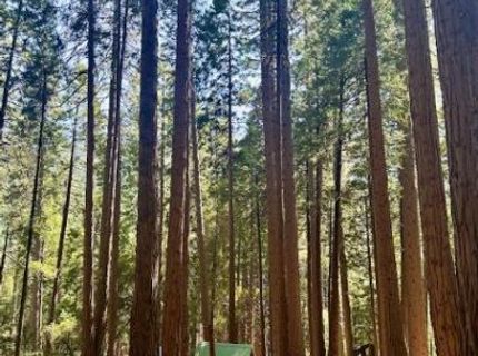 68 Por Lot N Sd Main St, Sierra City, CA 96125 Photo