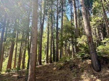 68 Por Lot N Sd Main St, Sierra City, CA 96125 Photo