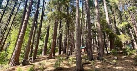 68 Por Lot N Sd Main St, Sierra City, CA 96125 Photo