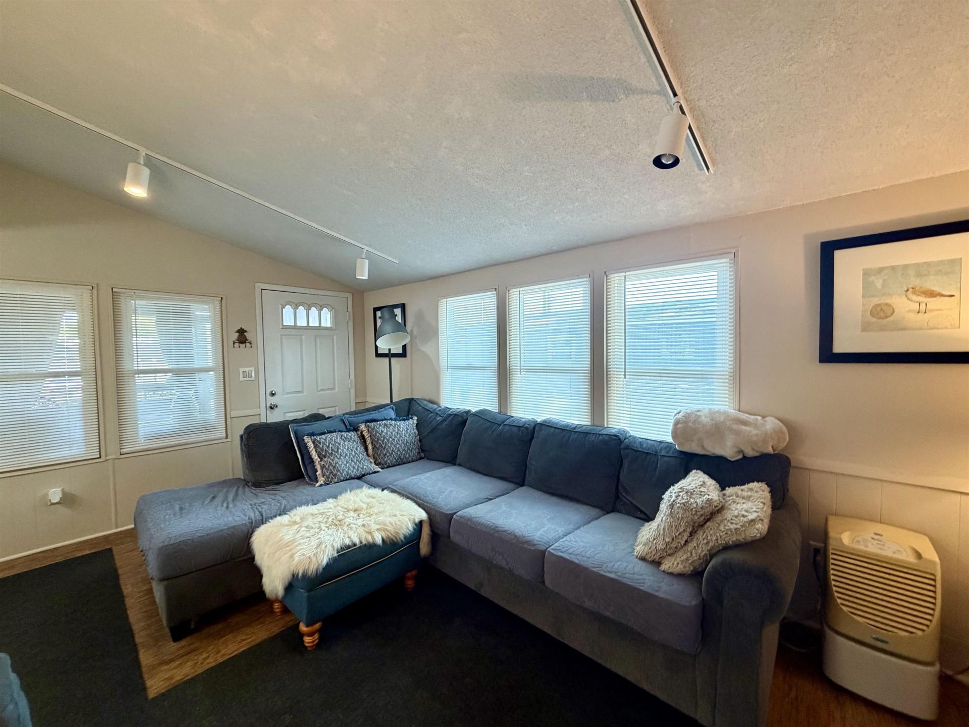 305 Sanddollar Dr.  Photo 6