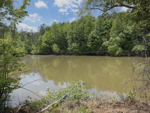 157 County Road 144, Gaylesville, AL 35973