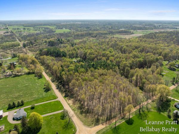 VL N Pease Road, Vermontville, MI 49096