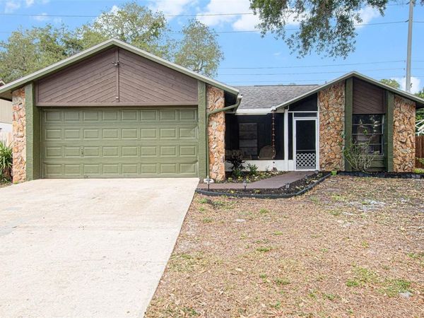 4105 SPRING WAY CIRCLE , VALRICO, FL 33596