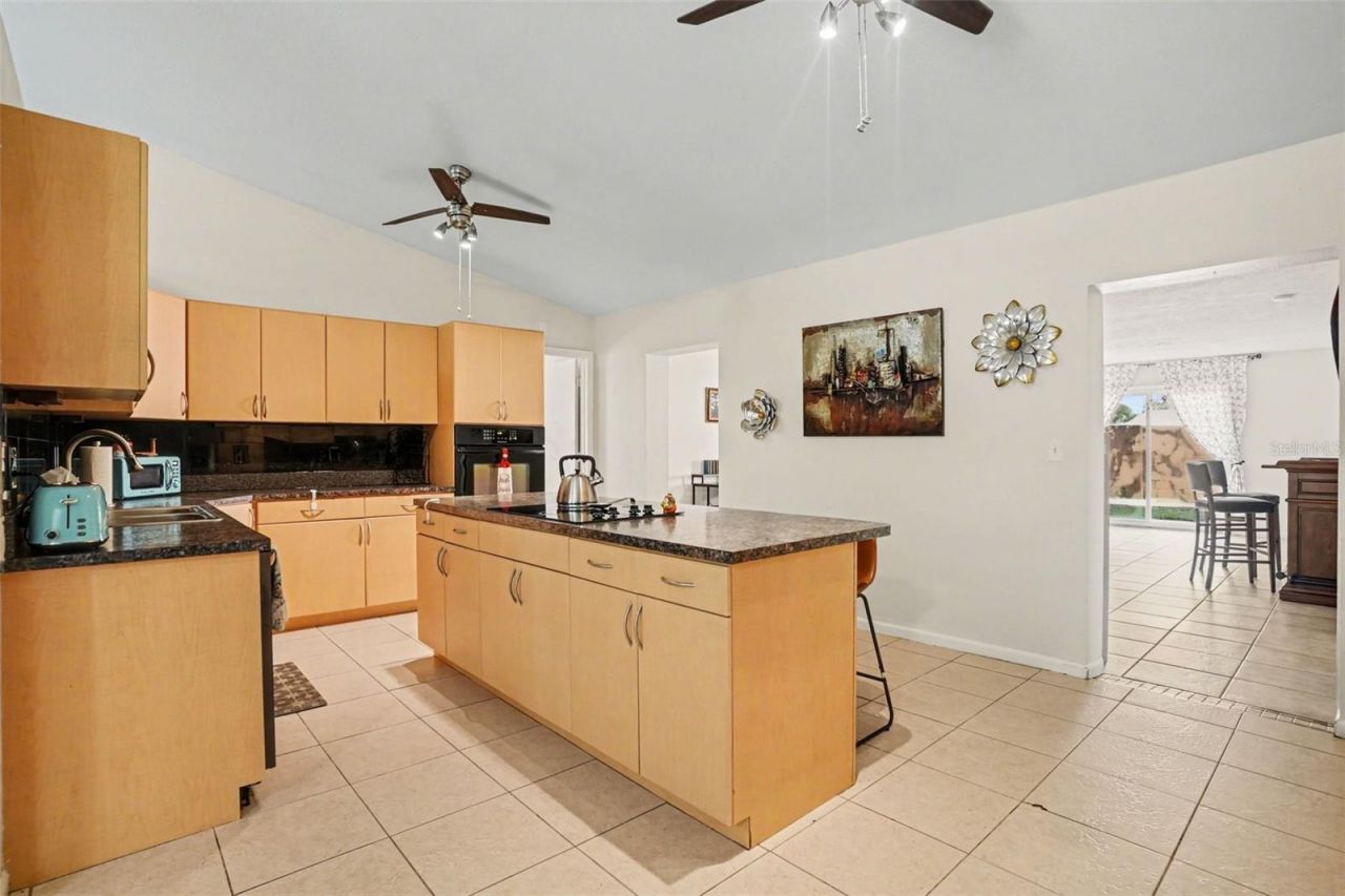 4105 Spring Way Circle, Valrico, FL 33596 Photo