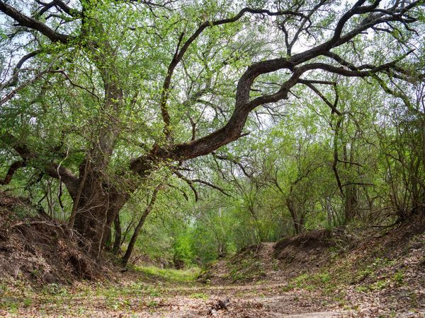 1251 County Road 210, Floresville, TX 78114