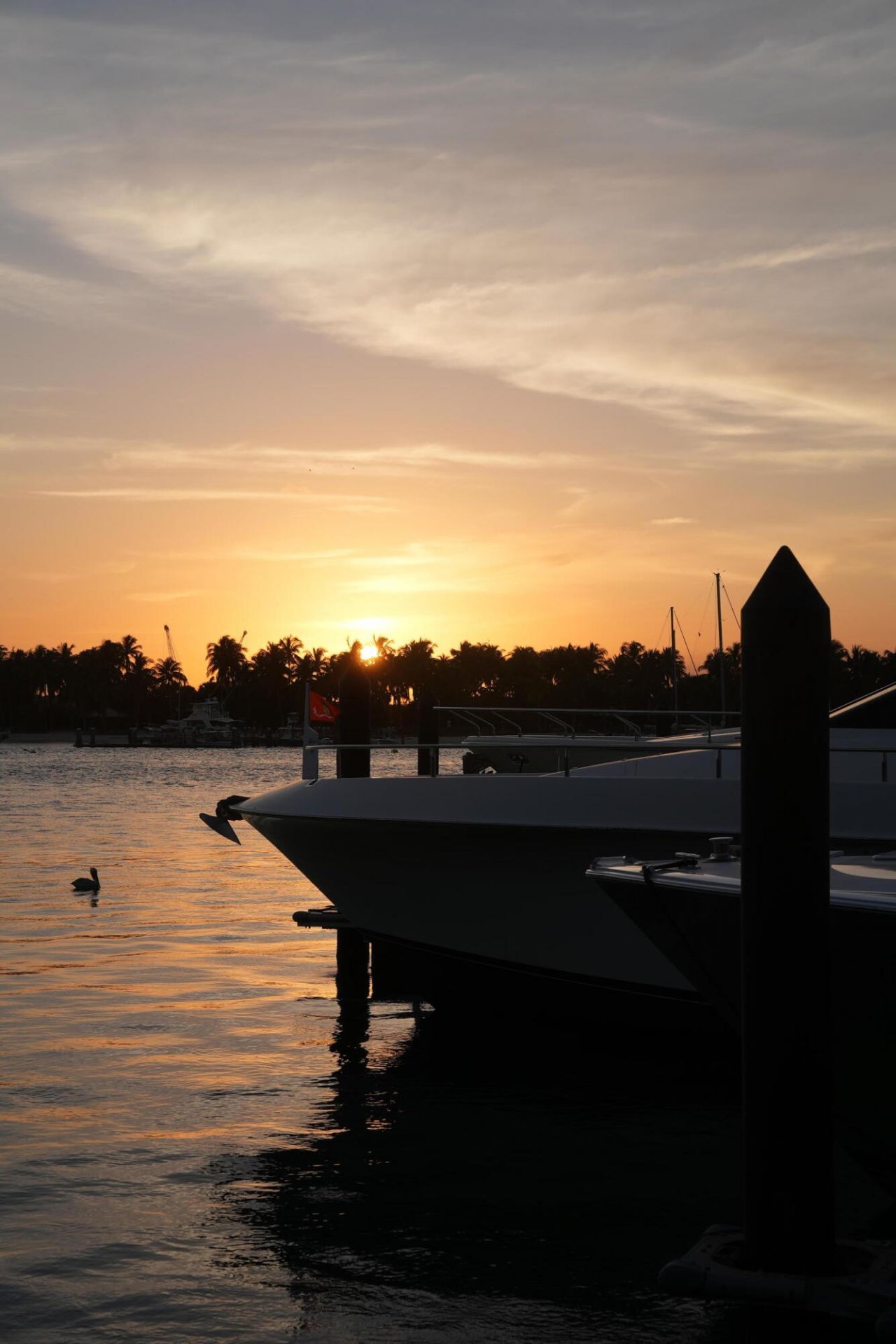 184 Lake Drive, Unit 4301, Palm Beach Shores, FL 33404 Photo