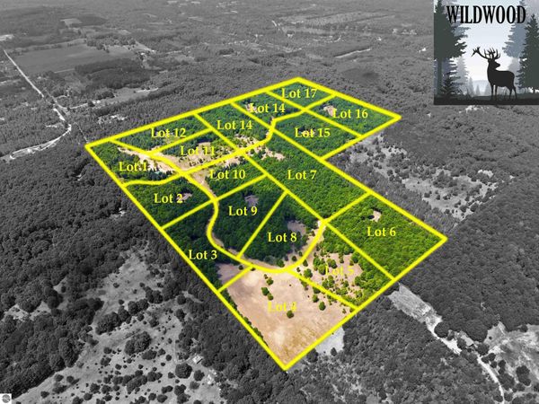 10732 Pine Ridge Drive SW, Fife Lake, MI 49633