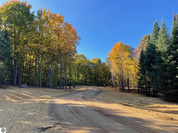 10732 Pine Ridge Drive SW, Fife Lake, MI 49633