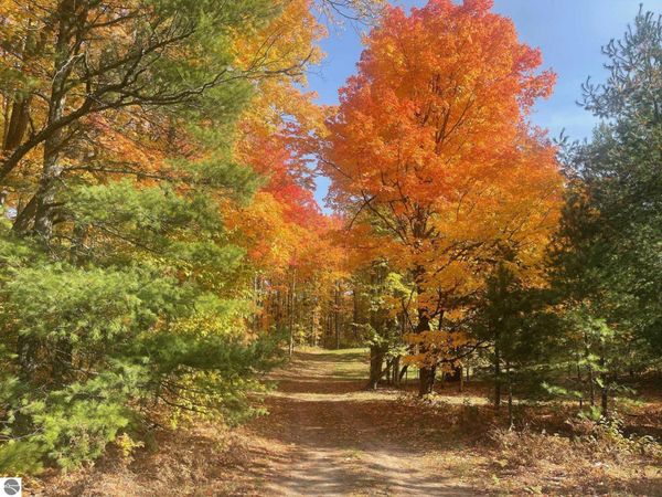 10732 Pine Ridge Drive SW, Fife Lake, MI 49633