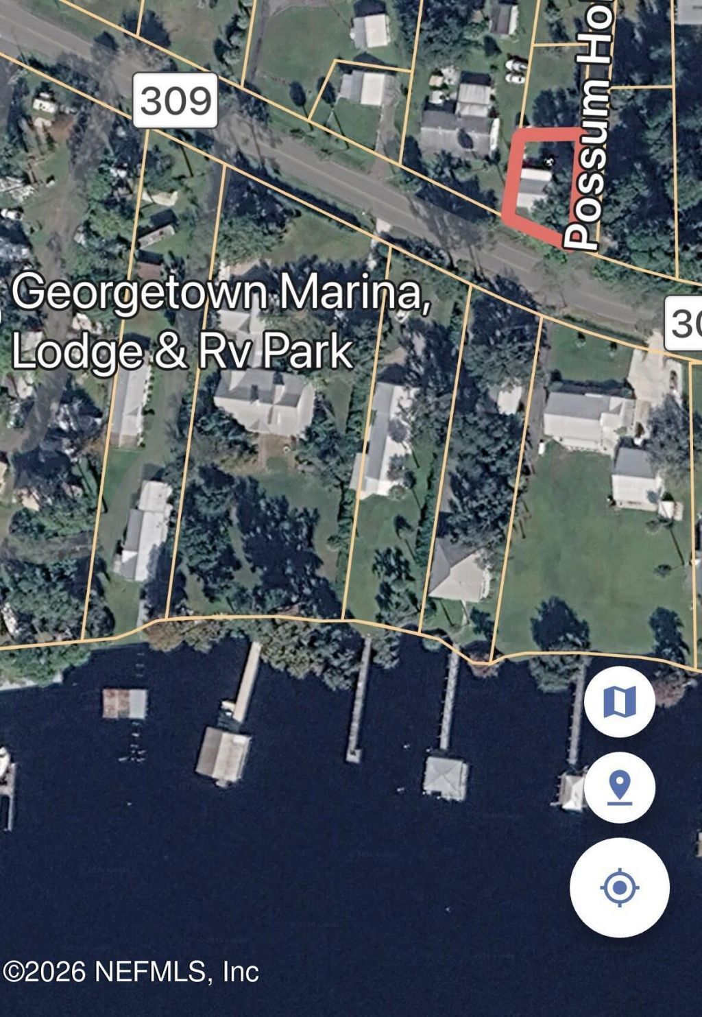 101 Possum Hollow Road, Georgetown, FL 32139 Photo