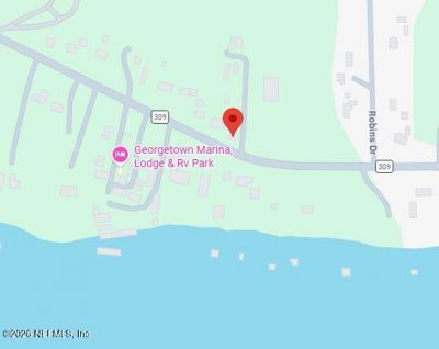 101 Possum Hollow Road, Georgetown, FL 32139 Photo