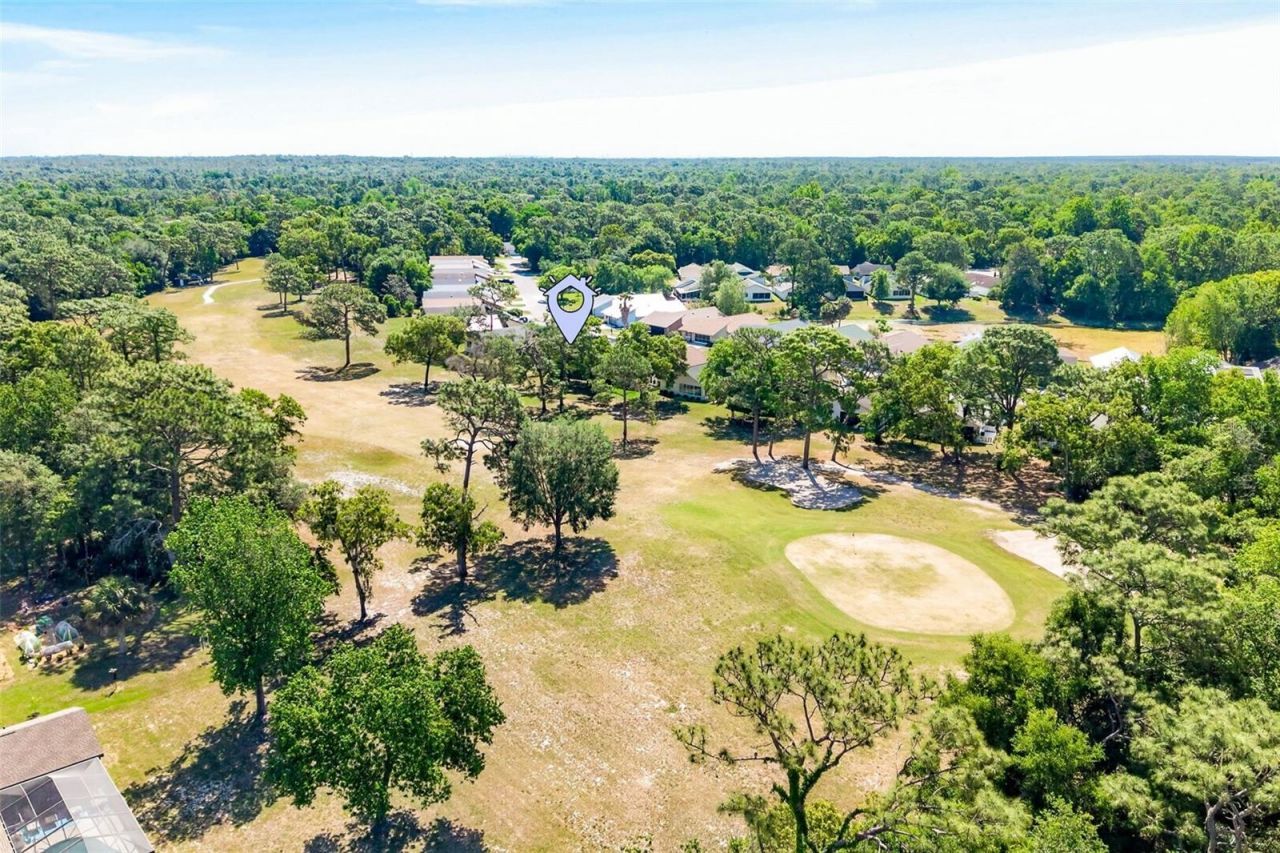 16 Golfview Court, Homosassa, FL 34446 Photo