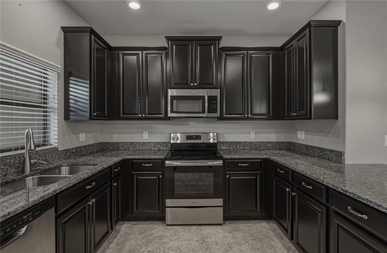 28647 Tranquil Lake Circle, Wesley Chapel, FL 33543 Photo