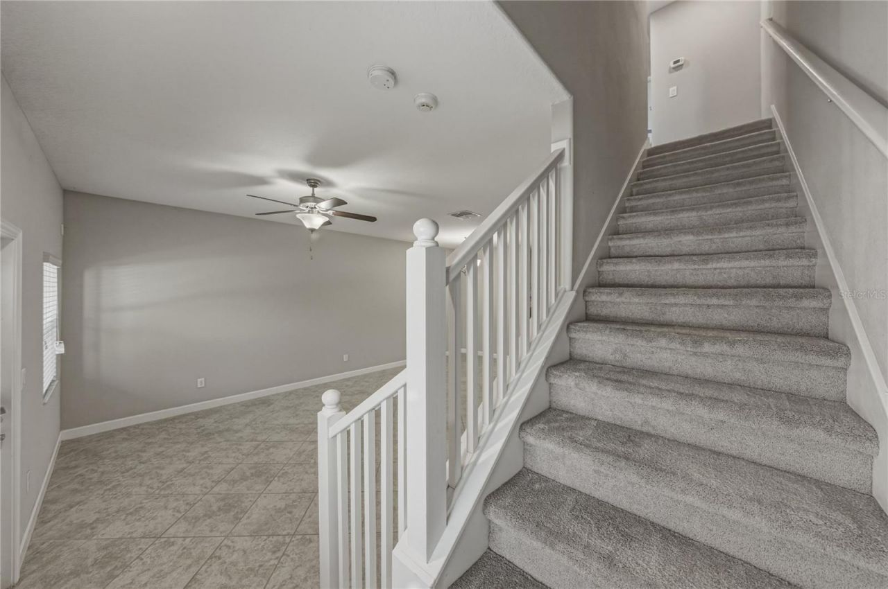 28647 Tranquil Lake Circle, Wesley Chapel, FL 33543 Photo