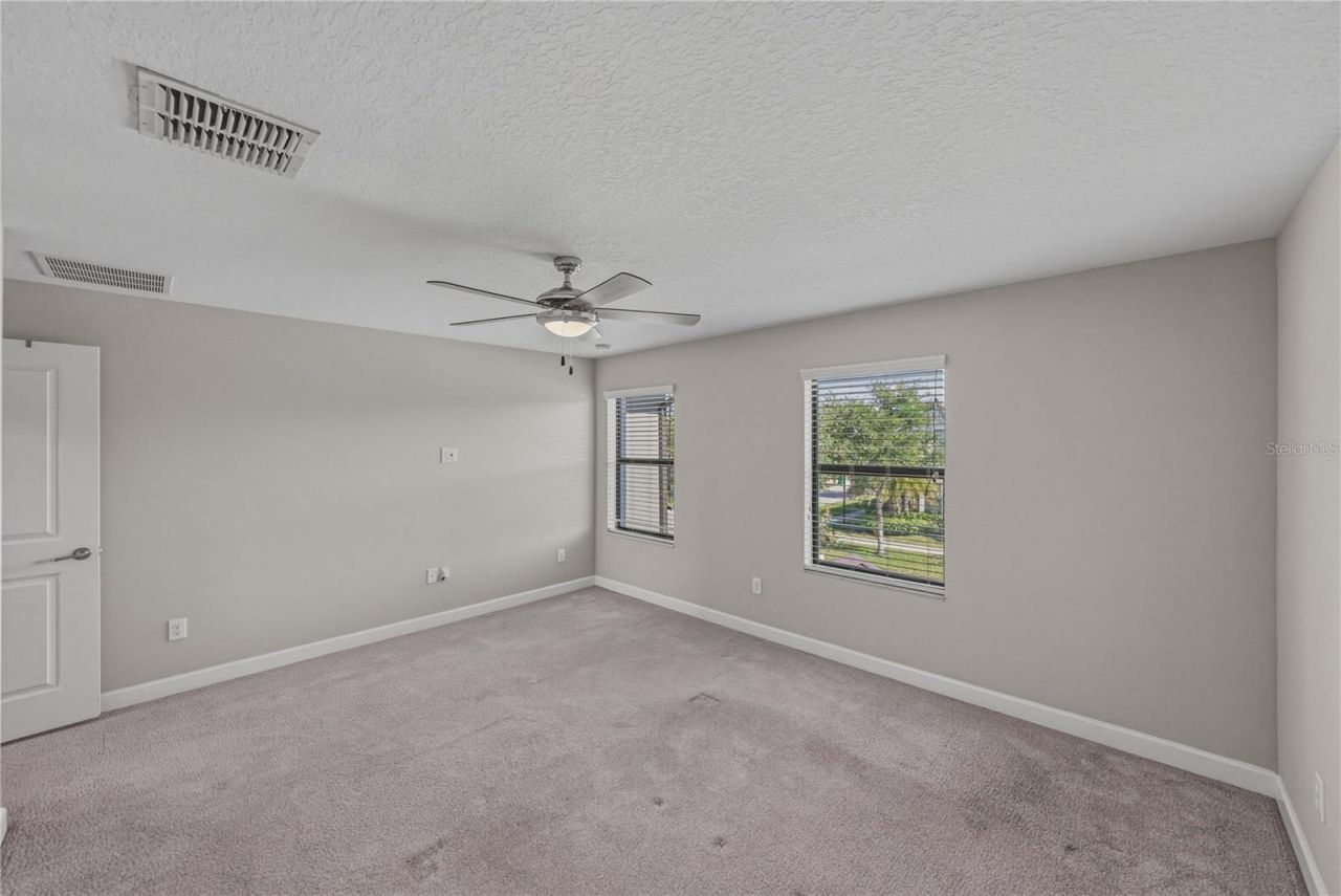28647 Tranquil Lake Circle, Wesley Chapel, FL 33543 Photo