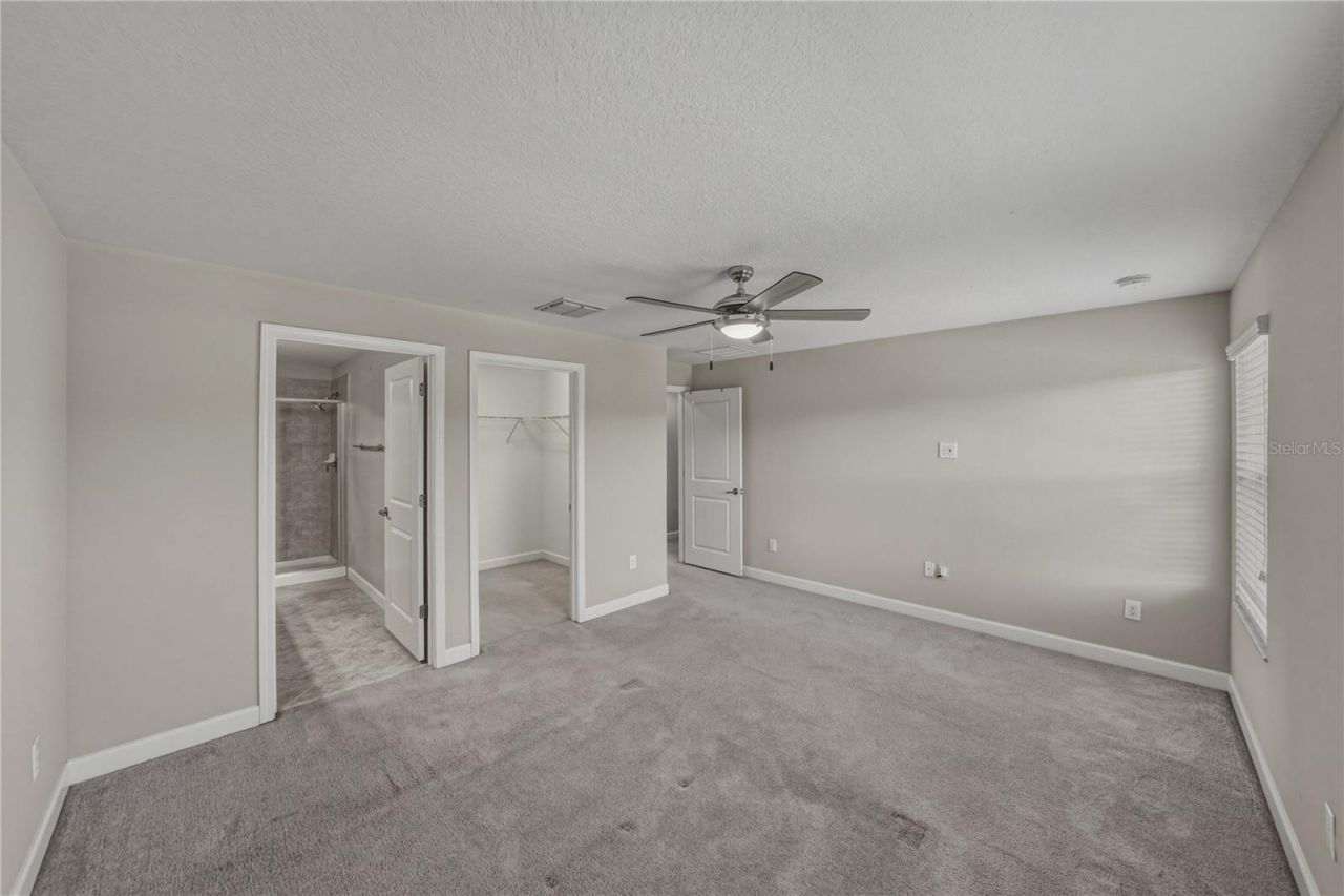 28647 Tranquil Lake Circle, Wesley Chapel, FL 33543 Photo