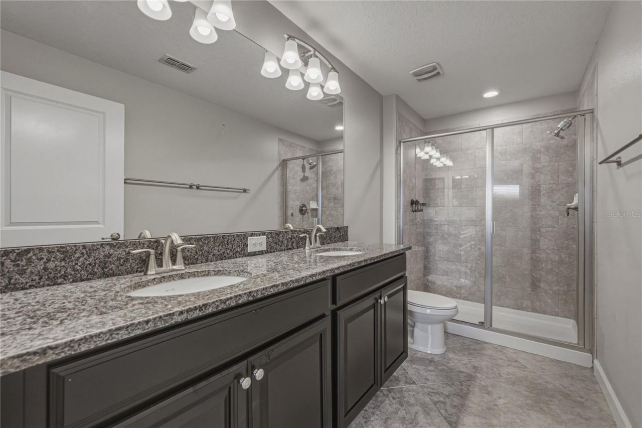 28647 Tranquil Lake Circle, Wesley Chapel, FL 33543 Photo