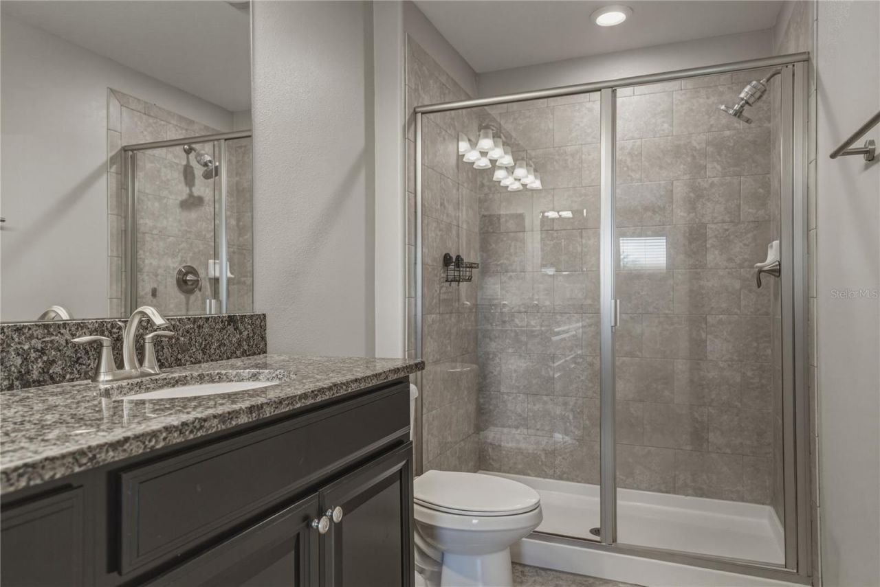 28647 Tranquil Lake Circle, Wesley Chapel, FL 33543 Photo