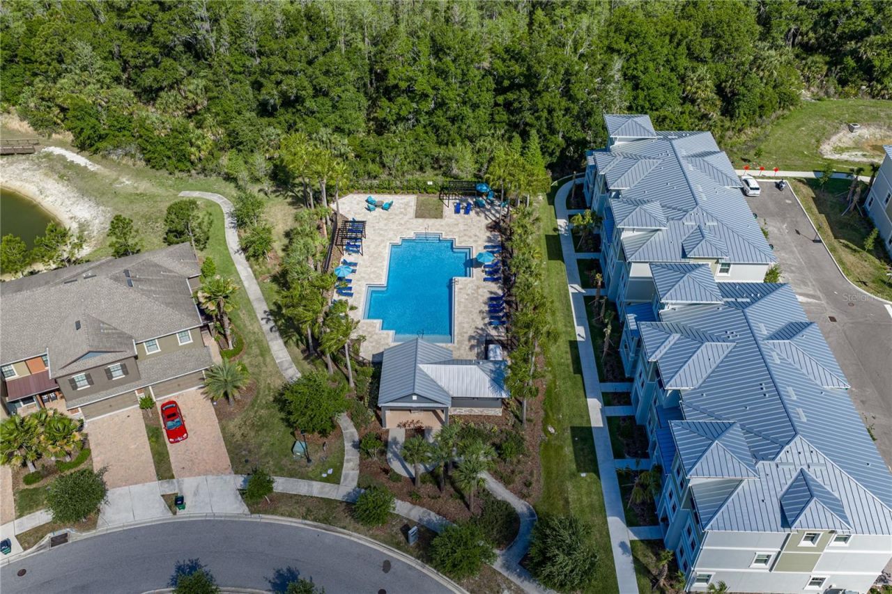 28647 Tranquil Lake Circle, Wesley Chapel, FL 33543 Photo