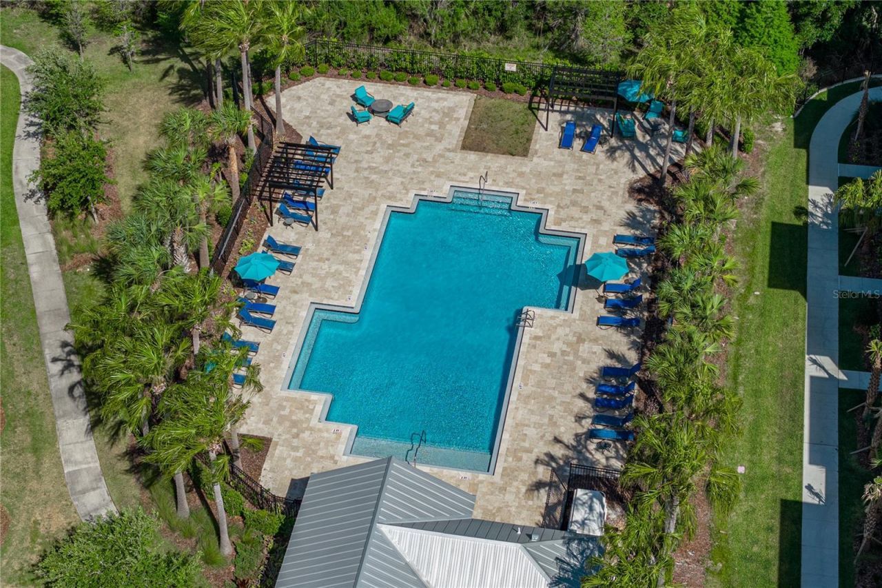 28647 Tranquil Lake Circle, Wesley Chapel, FL 33543 Photo