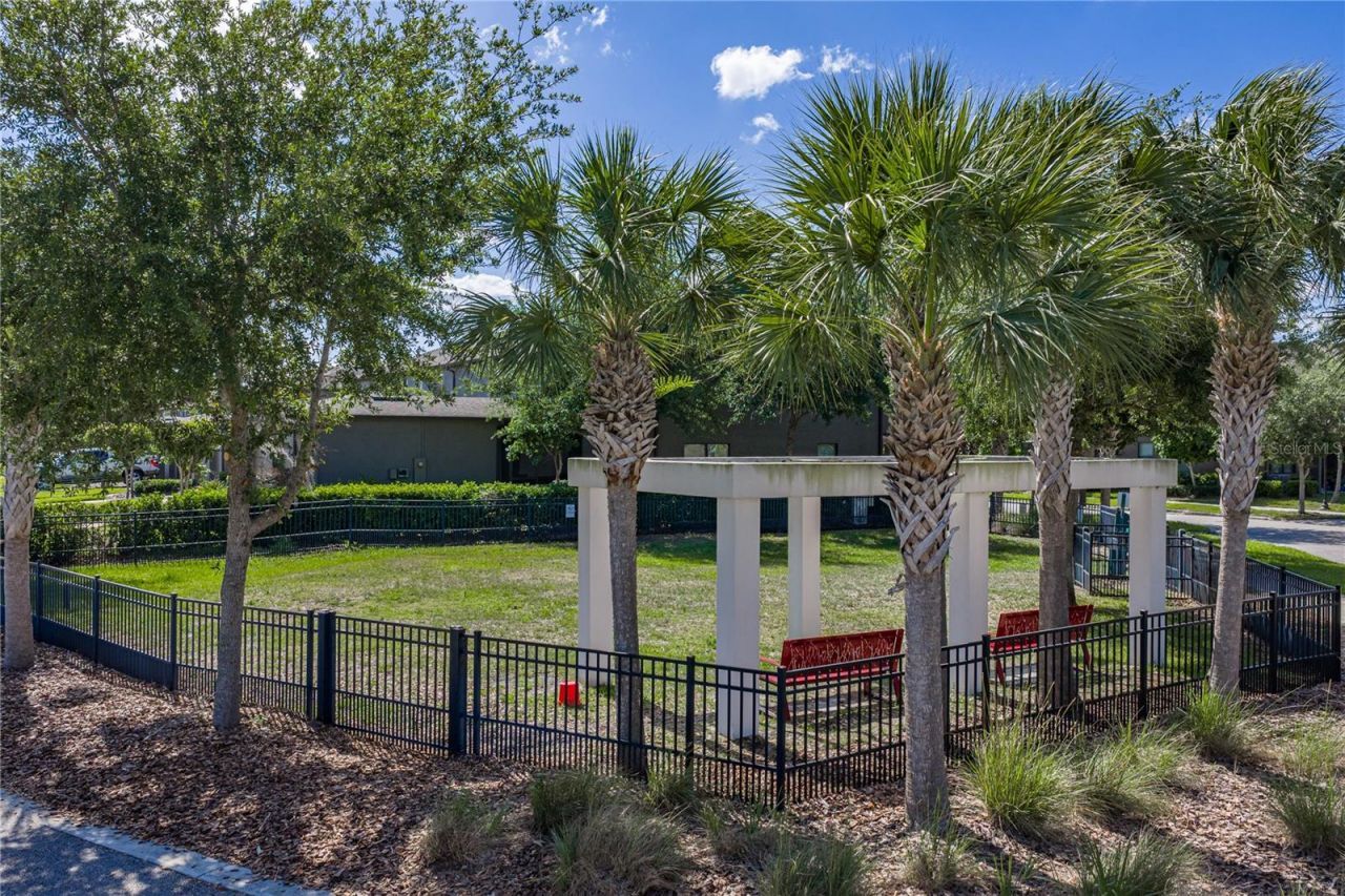 28647 Tranquil Lake Circle, Wesley Chapel, FL 33543 Photo