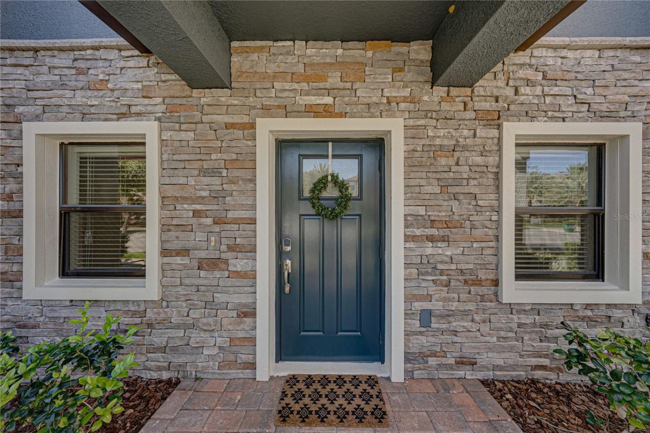 28647 Tranquil Lake Circle, Wesley Chapel, FL 33543 Photo