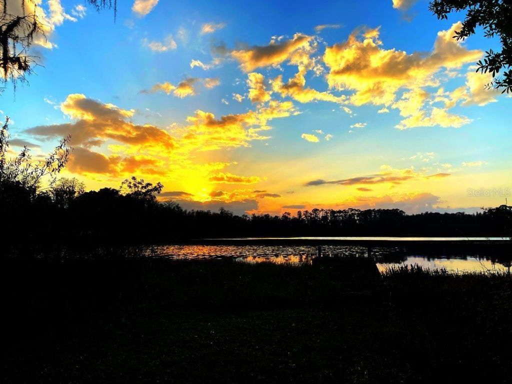 1012 Kingsborough Gardens Court , Lutz, FL 33548 Photo