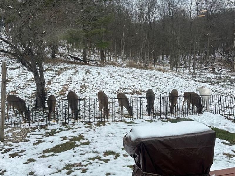 573 W Mohawk Drive, Malvern, OH 44644 Photo 42