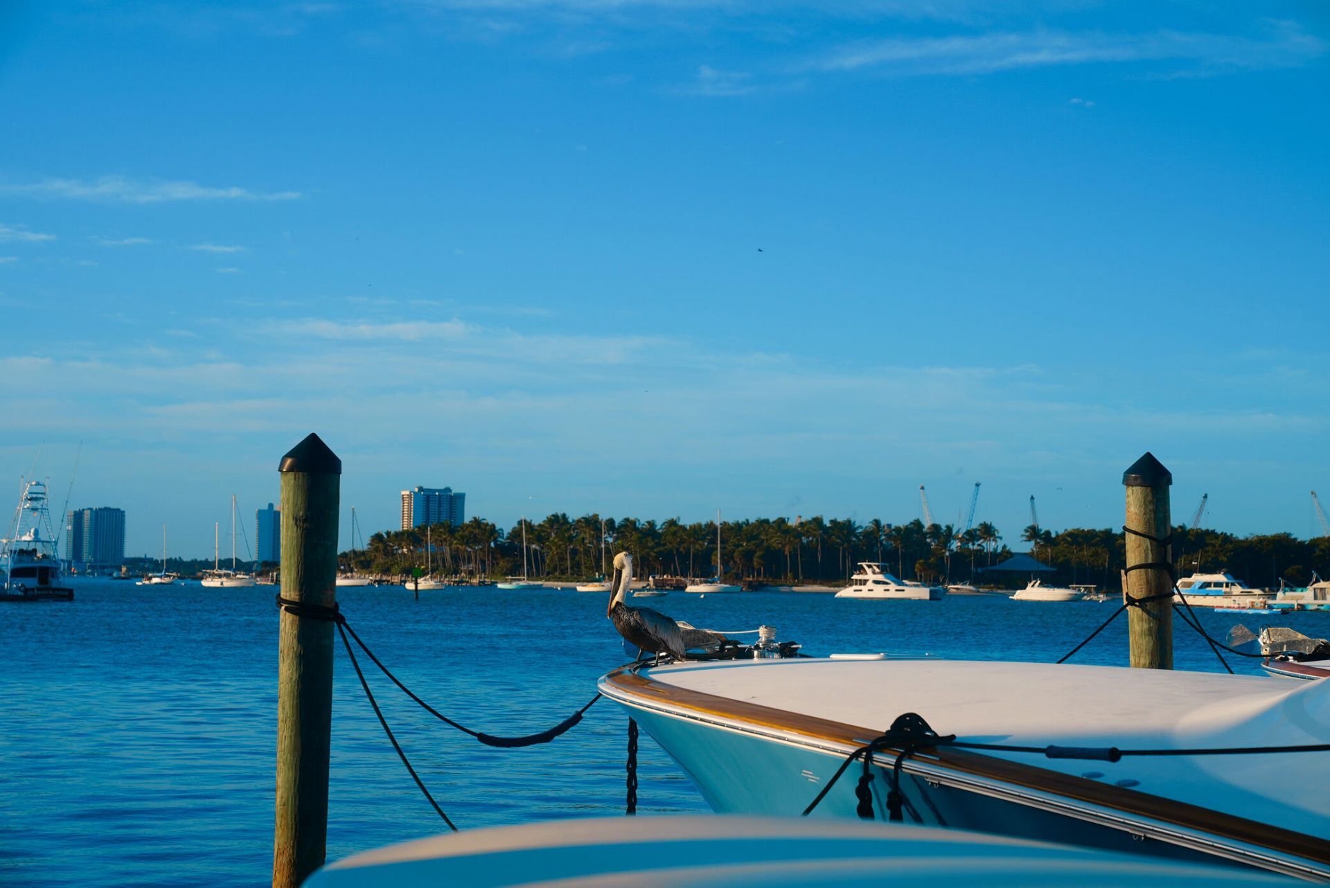 184 Lake Drive, Unit 3101, Palm Beach Shores, FL 33404 Photo