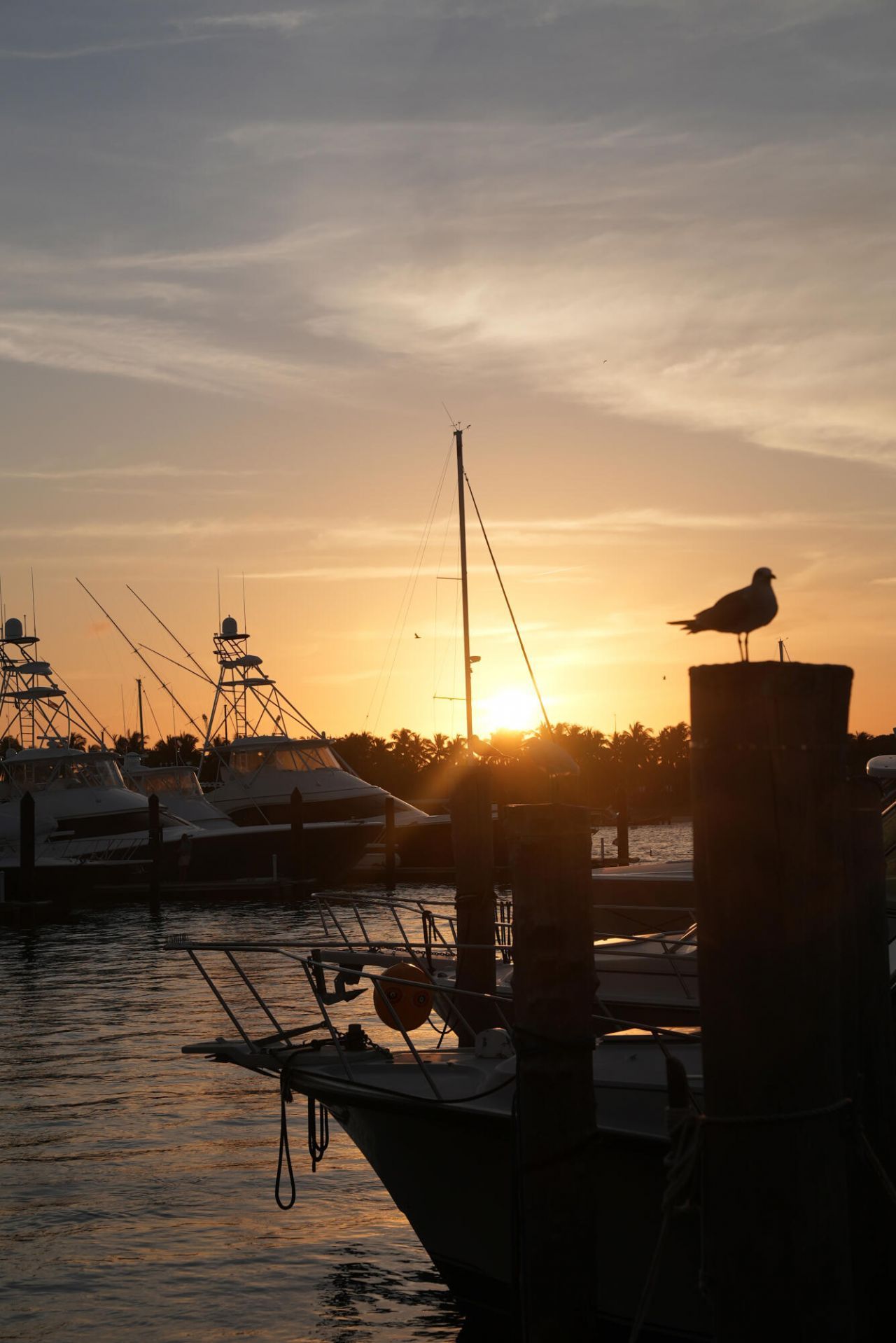 184 Lake Drive, Unit 3101, Palm Beach Shores, FL 33404 Photo