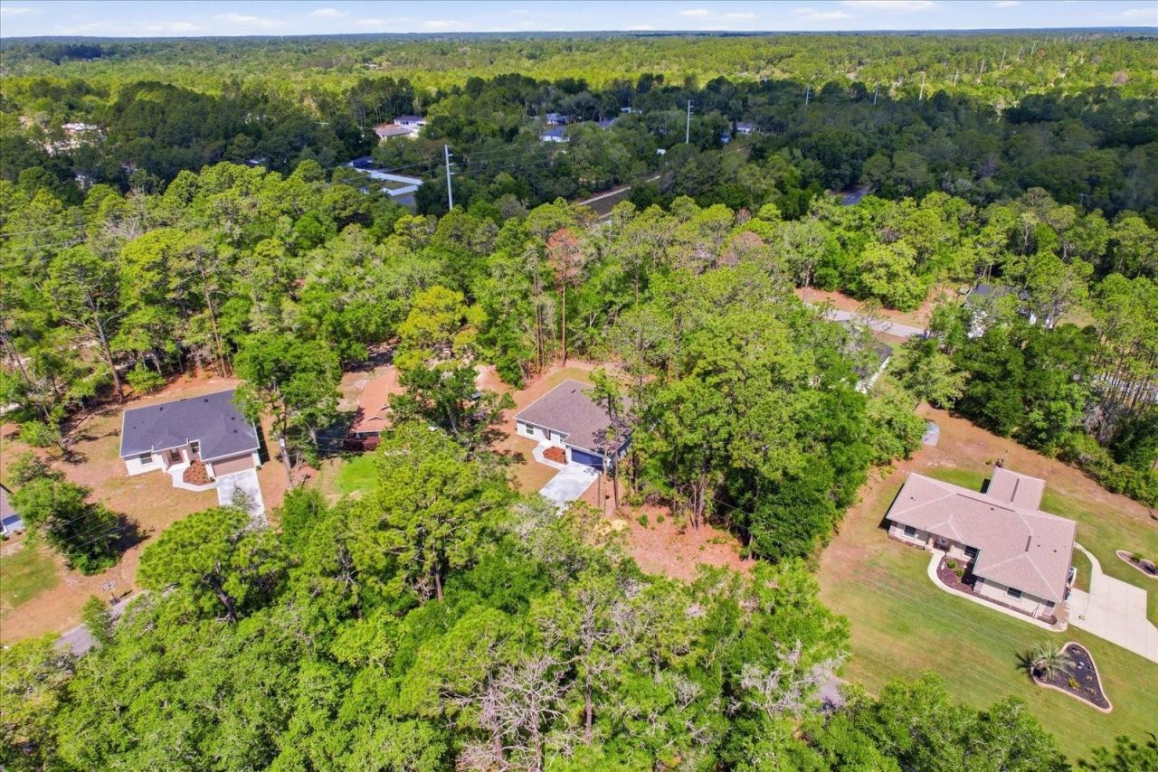 8760 N Vince Drive, Dunnellon, FL 34434 Photo