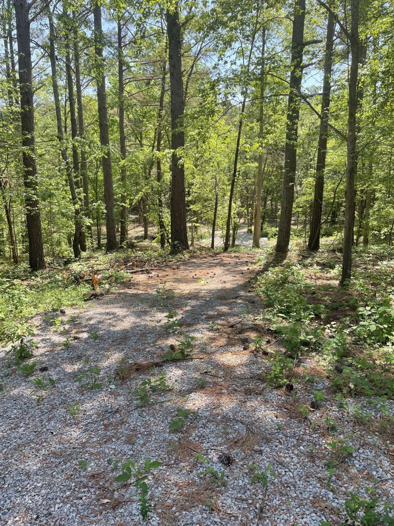 0 Prospect Lane, Bon Aqua, TN 37025 Main Photo