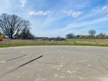 0005B Daisy Lane , Almont Twp, MI 48003