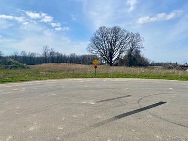 0005C Daisy Lane , Almont Twp, MI 48003